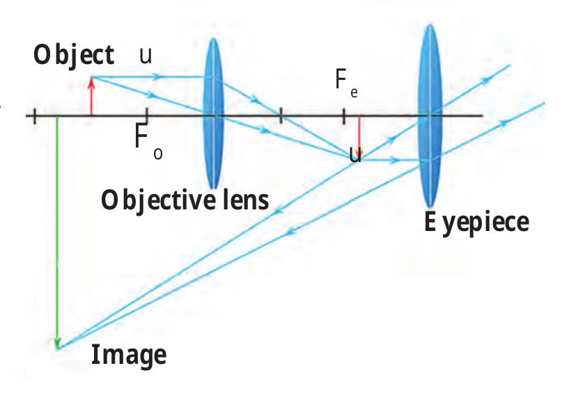 Figure 7.17 – Compound microscope