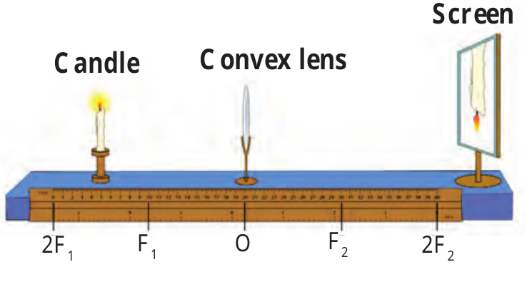 Figure 7.6 – Rules for drawing ray diagrams